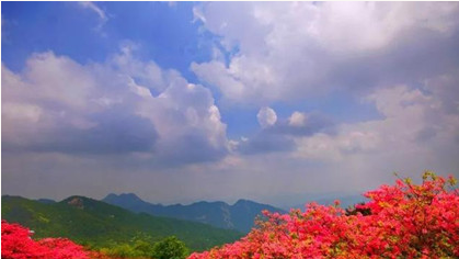《桃花源记》有什么思想感情？陶渊明是如何写出《桃花源记》的？
