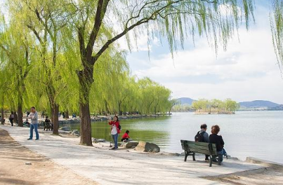 “似此星辰非昨夜”，下一句是什么？这句话是谁写的？