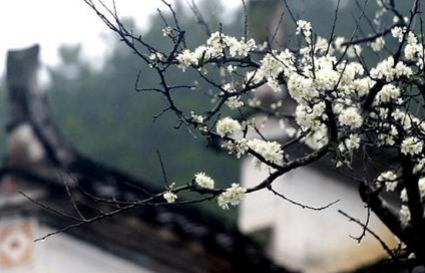 南乡子·花落未须悲描绘了什么场景？该宋词如何赏析？