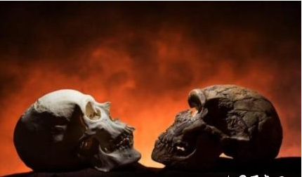 1595818945137762.png image.png