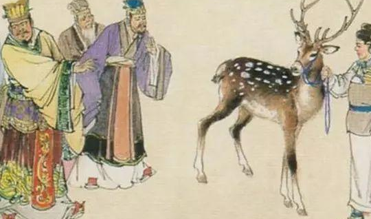 指鹿为马故事的真相是什么？胡亥到底是怎么想的？