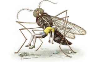 人类都无法战胜它，蚊子为何那么难消灭呢？
