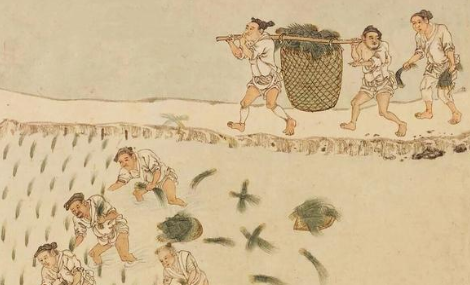 屯田制到底是什么？三国政权为什么都要实行屯田制？