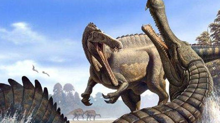 在自然界的生物中，帝鳄与恐鳄究竟谁更厉害一些？