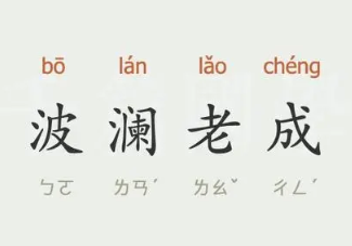 成语“波澜老成”是什么意思？背后有什么典故？