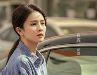 《警察荣誉》是什么剧情？张若昀白鹿合作主演