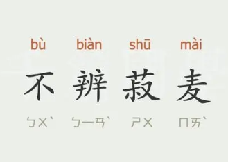 成语“不辨菽麦”是什么意思？背后有什么典故？
