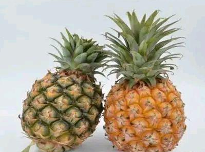 菠萝产自哪里？菠萝和凤梨是同样的东西吗？