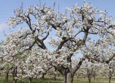 1623912038303571.png image.png