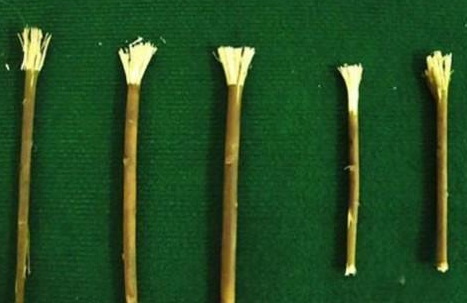 1621477547452869.png image.png