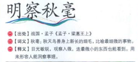 历史文化探索：明察秋毫的典故及故事介绍
