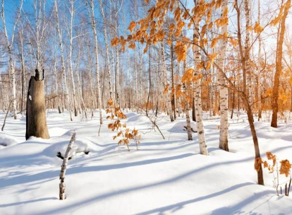 历史上有哪些描冬季太阳的诗作？诗人是如何描述冬阳的？