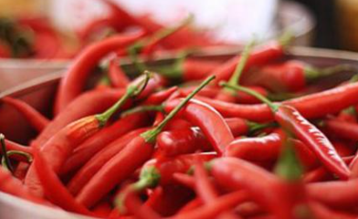 辣椒是怎么传入中国的？哪些地区最开始吃辣椒呢？