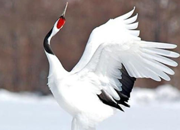 1614568113767119.png image.png