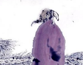 李嘉祐诗风简介，主要诗作一览