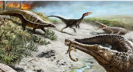 白垩纪是恐龙的巅峰时期，那么当时恐龙的品种有多少？