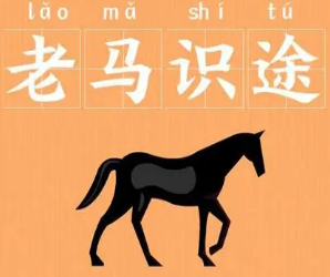 成语“老马识途”是什么意思？背后有什么典故？