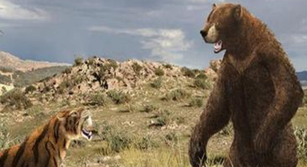 短面熊的体重是多少？为何说它是世界上体型最大的棕熊？