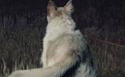 1609638641973105.png image.png