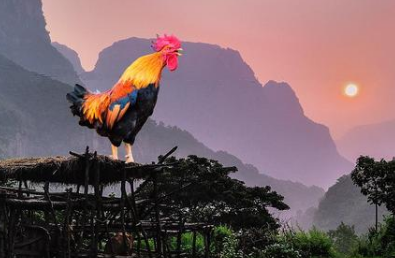 1616552984146840.png image.png