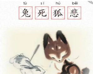 成语“兔死狐悲”背后有何历史典故？该如何理解？