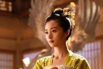 新城公主最后嫁给了谁  新城公主的母亲_https://www.ipzc.cn_中国历史_第1张