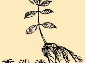 本草纲目&middot;第八卷&middot;草部&middot;迷迭香原文是什么内容？