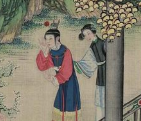 红楼梦中秋桐是谁的妾室？她的评价如何？