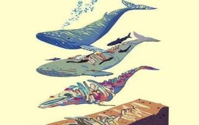 鲸落：世界上最浪漫的重生，“一鲸落，万物生”
