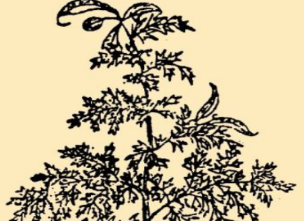 本草纲目&middot;第八卷&middot;草部&middot;角蒿具体内容是什么？