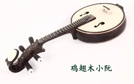 小阮是一种汉族传统乐器，它主要由哪些部分组成？
