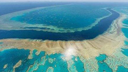 世界上最大的堡礁位于哪里？它究竟是怎么形成的？