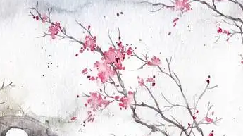 苏轼的《行香子·述怀》表达的是一种什么样的思想感情？