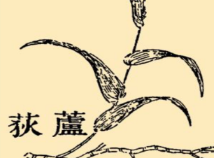 本草纲目&middot;第八卷&middot;草部&middot;芦原文是什么内容？