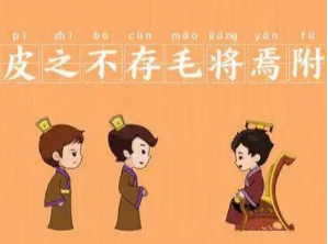 成语“皮之不存，毛将焉附”是什么意思？这个成语来源于哪个故事？