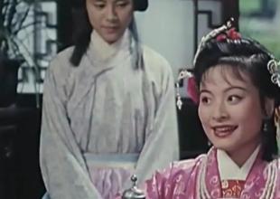 绿牡丹全传第十七回：骆母为生计将本起息