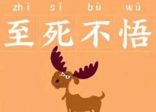 成语“至死不悟”背后有什么成语故事？该如何解释？