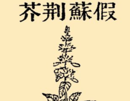 本草纲目&middot;第八卷&middot;草部&middot;假苏原文是什么内容？