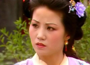 红楼梦中赵姨娘有心机也有手段，她的手段不简单