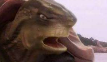 唐僧即将取经成功，化身成佛，为何老鼋还敢把他扔水里？