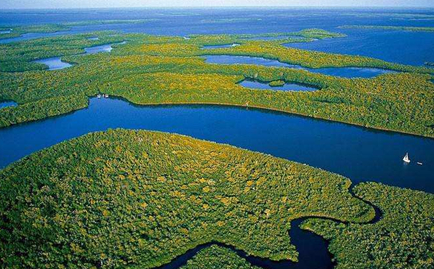 潘塔纳尔沼泽在哪？为何称它为世界上最大的沼泽地？