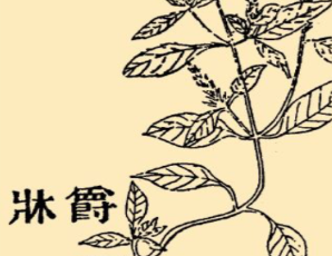 本草纲目&middot;第八卷&middot;草部&middot;爵床具体内容是什么？