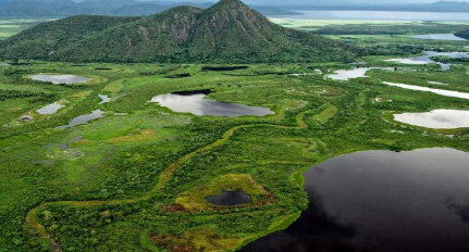 作为世界上最大的湿地，潘塔纳尔湿地总面积是多少？
