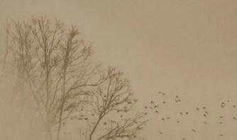 陆游的《临安春雨初霁》原文是什么？如何理解？