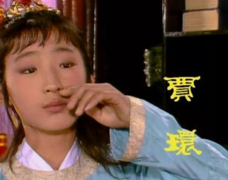 红楼梦中贾环与贾兰经常一起出入，他们的关系好吗？