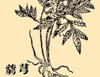 本草纲目&middot;第八卷&middot;草部&middot;芎藭具体内容是什么？