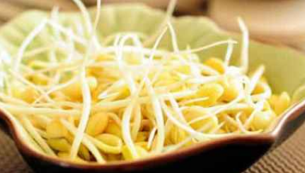 豆芽菜主要由什么发育而来  豆芽菜可供食用部分由什么发育而来_https://www.ipzc.cn_中国历史_第1张