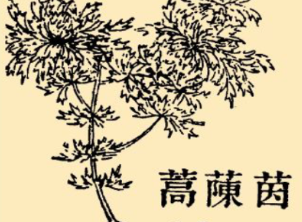 本草纲目&middot;第八卷&middot;草部&middot;茵陈蒿具体内容是什么？