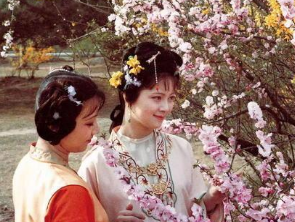 红楼梦中薛宝钗是道德楷模，为何她手下的丫头那么霸道？