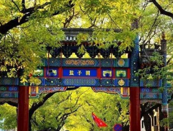 京城的国子监中，为什么种了那么多槐树？